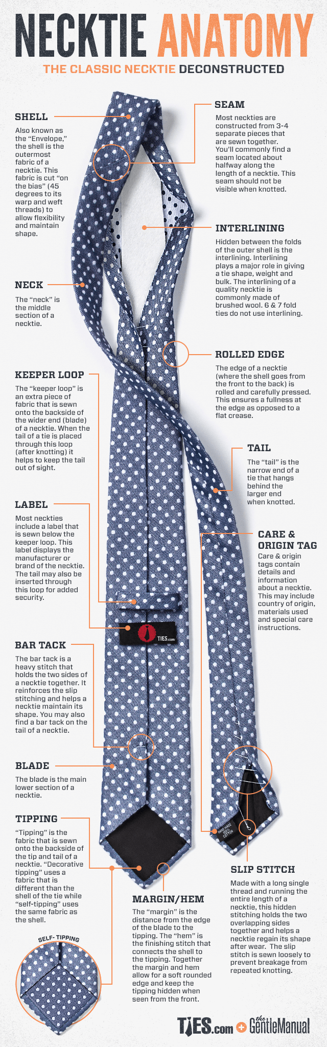 necktie_anatomy_krawat