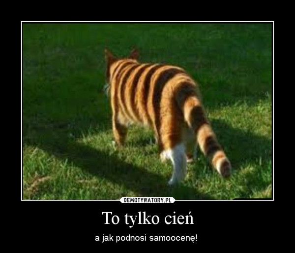 psychologia_mody_demotywatory-pl